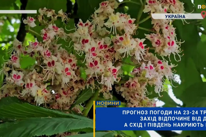 Погляд — новини Київщини онлайн - a1d7fca4-fdfb-4ef2-9c43-16662894180d - зображення